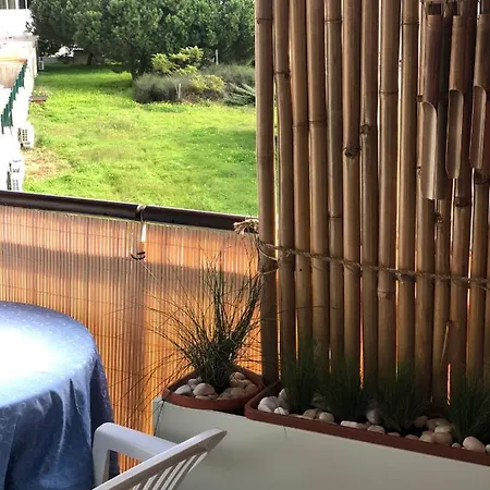 Vacations * 阿尔布费拉