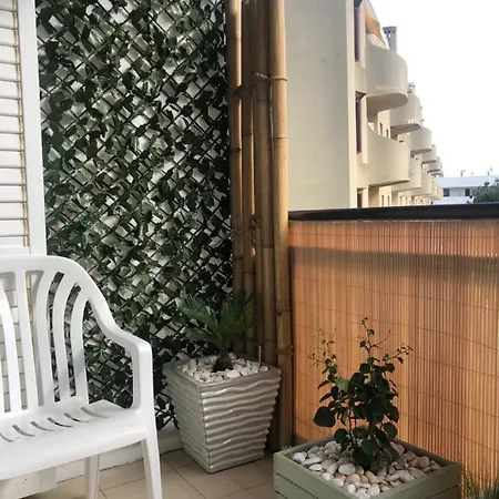 Vacations 阿尔布费拉