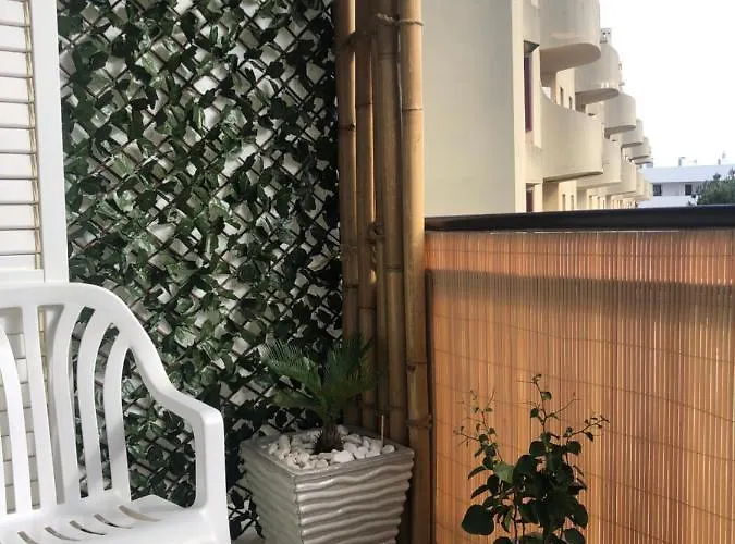 Vacations אלבופיירה